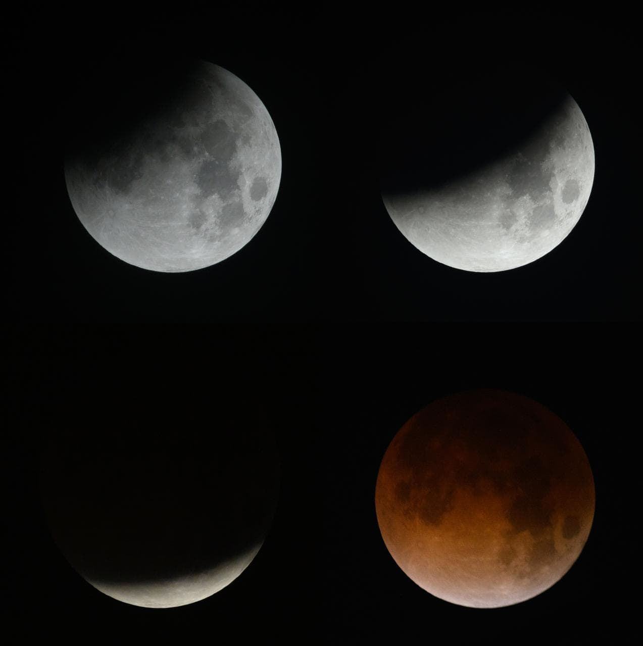 A guided explanation of Compare the eclipse outcome frame by frame.